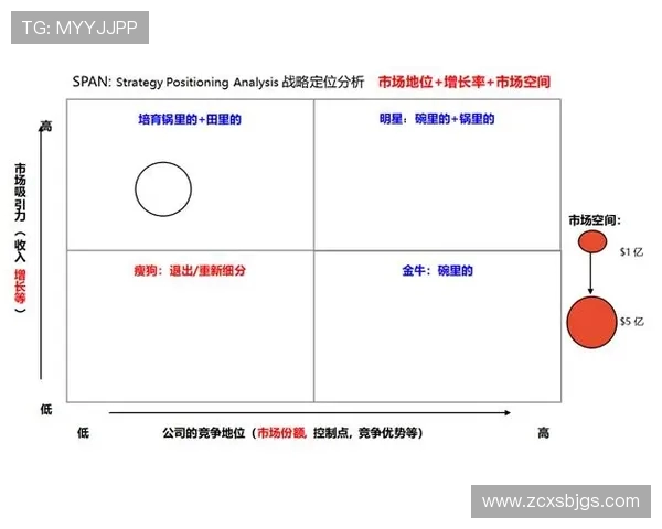 AL与CFO职能对比：企业管理中的战略价值与责任分配分析