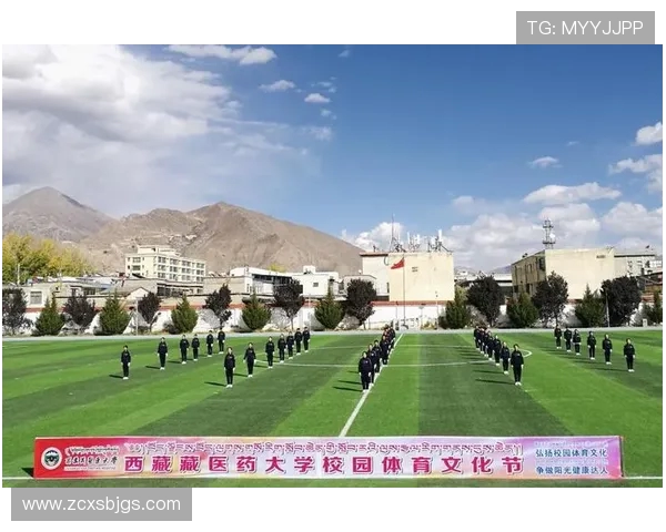 以体育精神凝聚力量推动全民健康与社会和谐发展的时代篇章