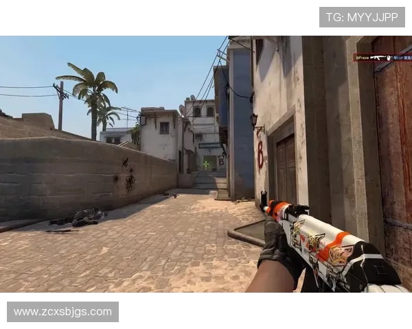 CSGO盛宴：深入解析JDG战队的默契配合与战术执行