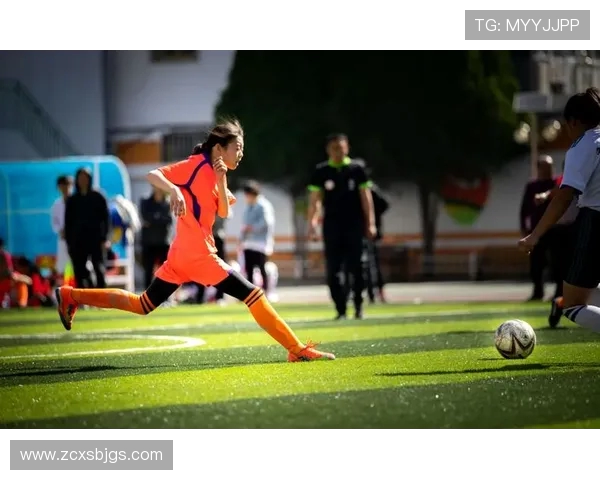 杭州足球队的拼搏历程与荣耀时刻全景纪实